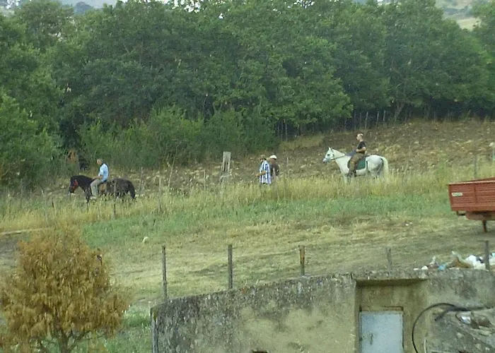 Agriturismo San Pietro