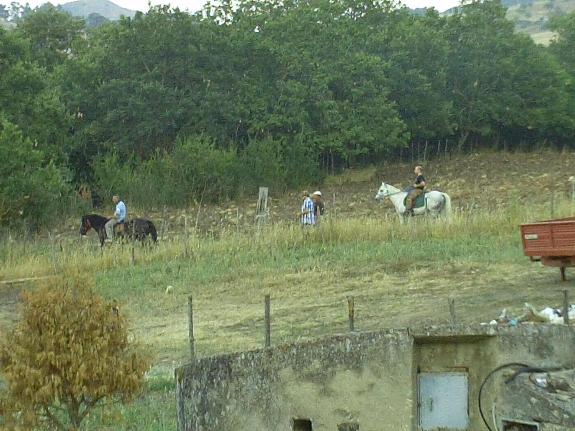 Farm stay San Pietro Gangi
