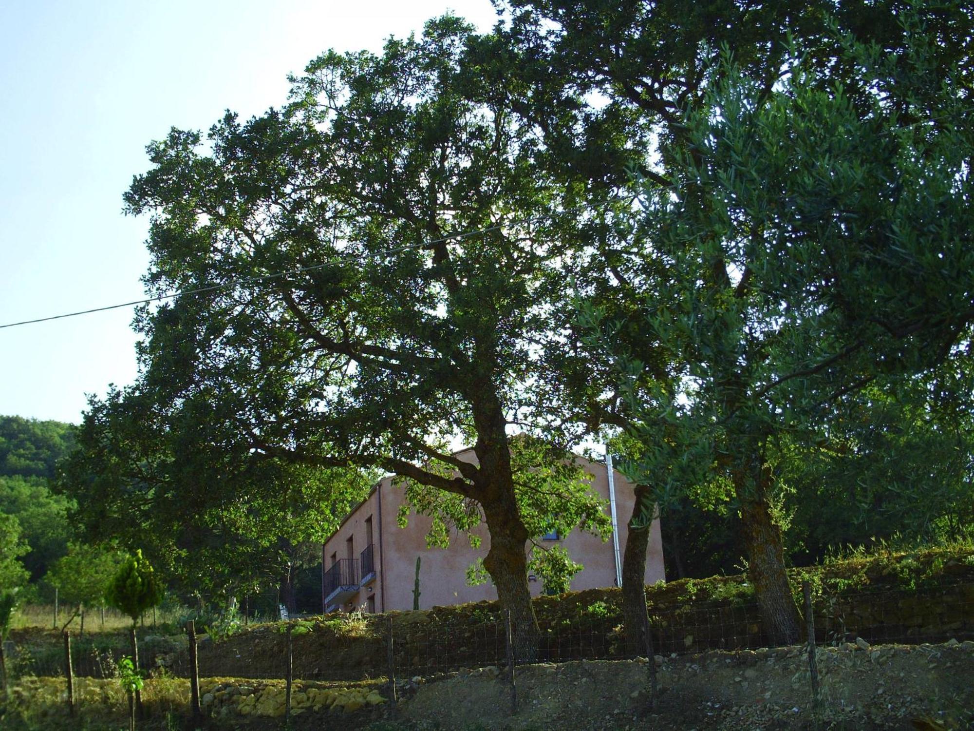 Farm stay San Pietro *