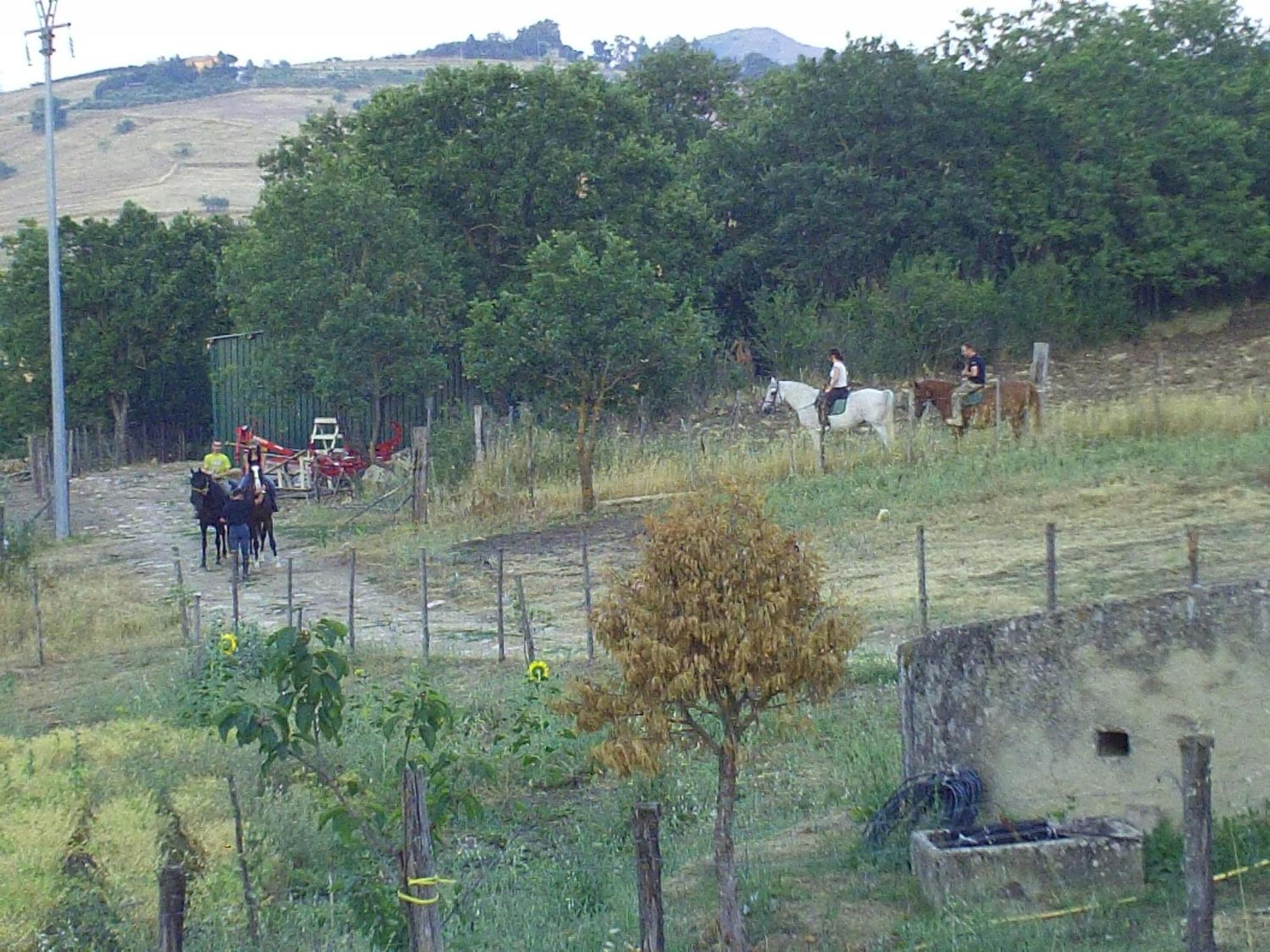 Farm stay San Pietro