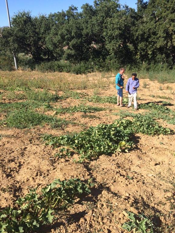 Farm stay San Pietro