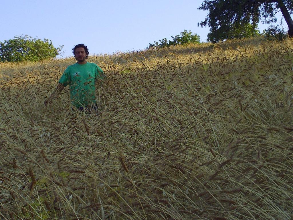 Farm stay San Pietro *