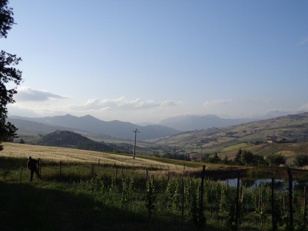 Farm stay San Pietro *