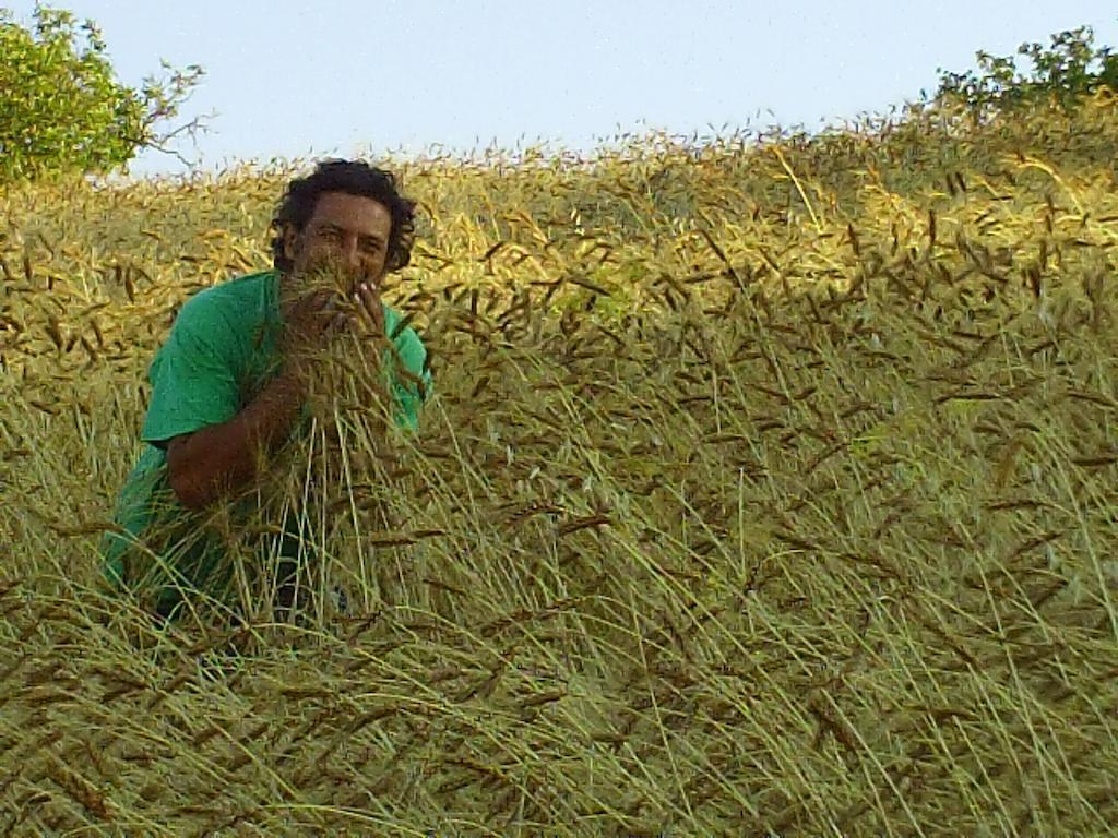 Farm stay San Pietro