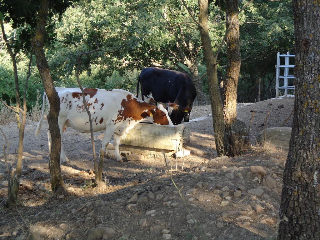 Farm stay San Pietro
