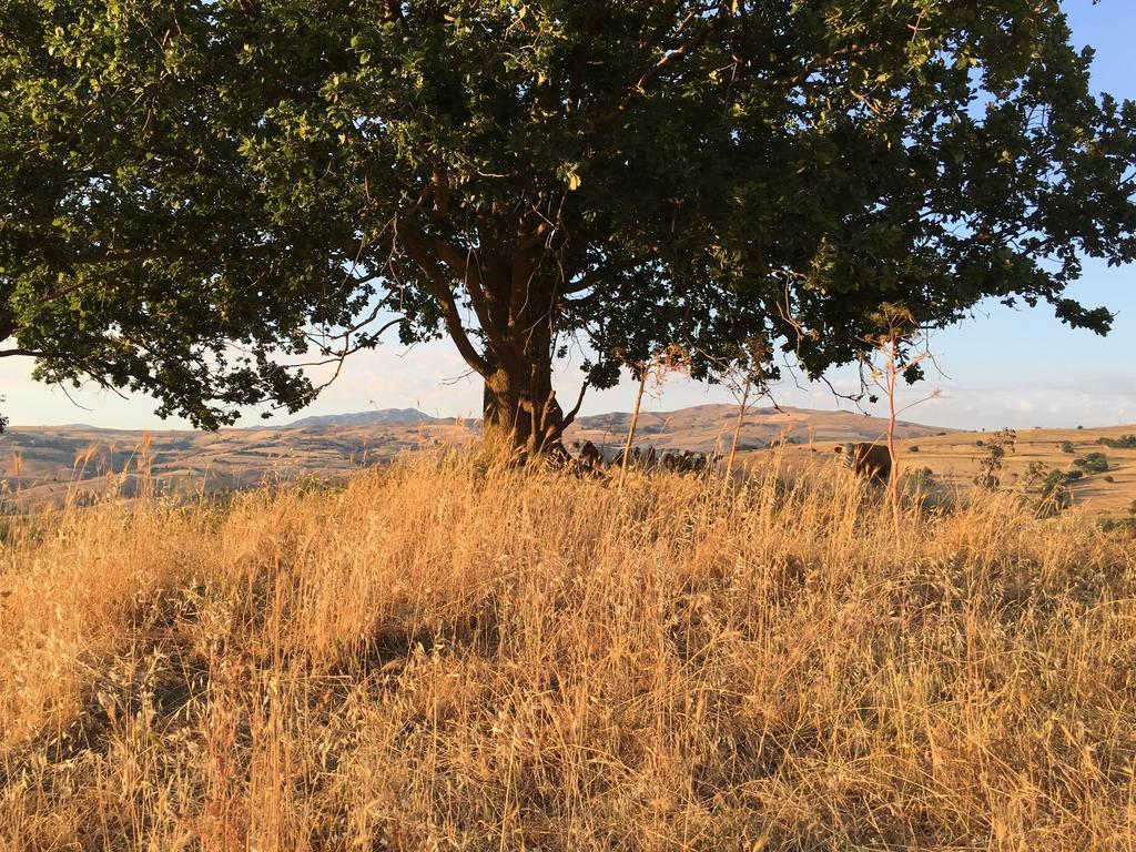 San Pietro Farm stay Gangi