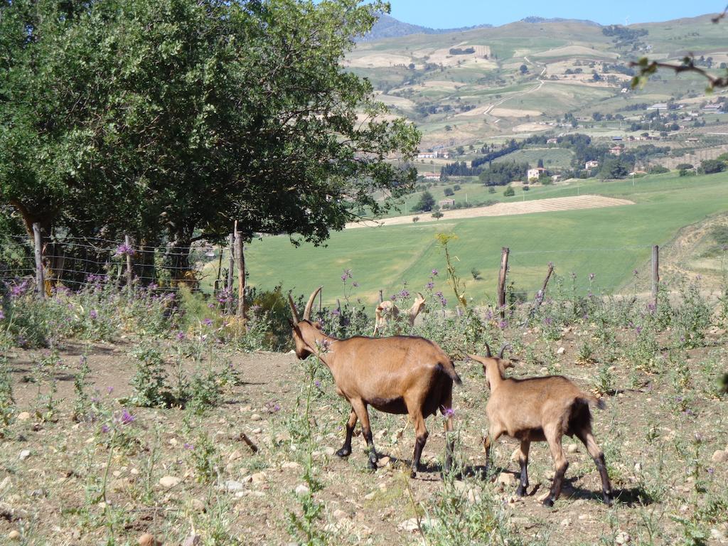 Alloggio per agriturismo San Pietro Gangi